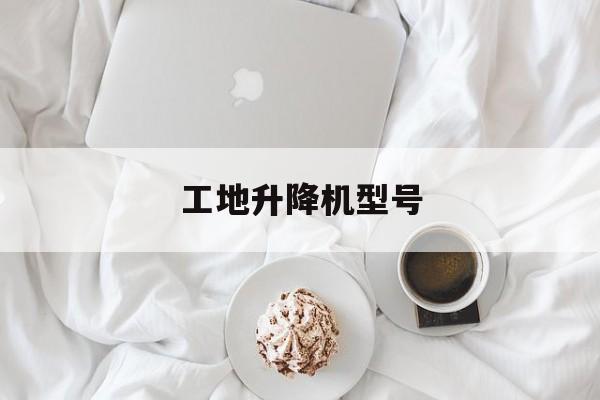 工地升降機(jī)型號(hào)（工地升降機(jī)內(nèi)部圖）